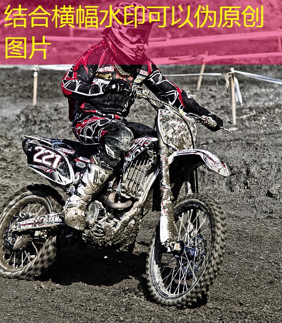 melhor jogo online de cassino para windows