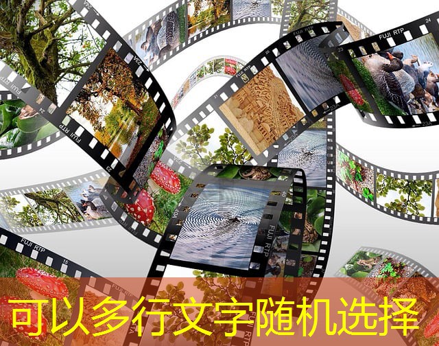 jogo da coruja cassino