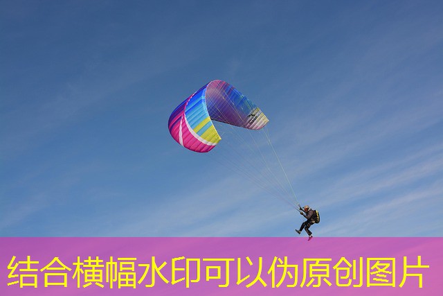 melhor jogo de aposta cassino