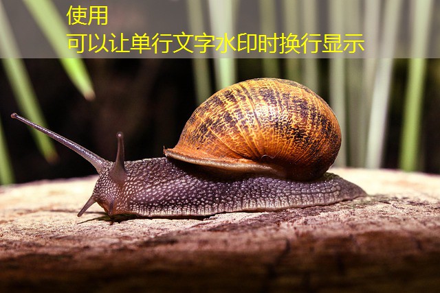 tabuleiro dos jogos cassino tabuleiro dos jogos cassino