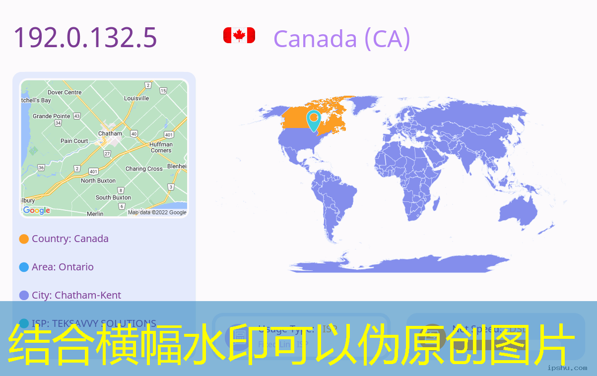 2008 super bowl betting odds