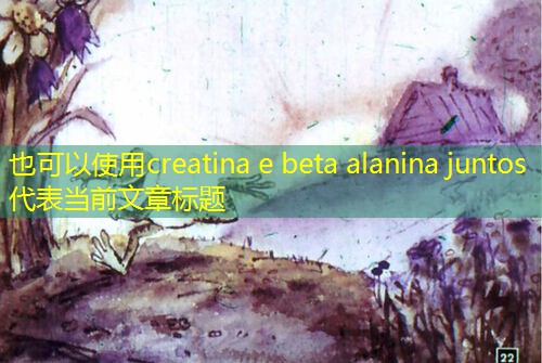 creatina e beta alanina juntos